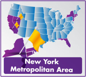 New York Metropolitan Area by concha solutoins